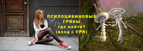 гашик Магадан