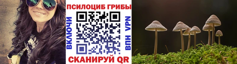 Псилоцибиновые грибы Magic Shrooms  Новый Оскол 